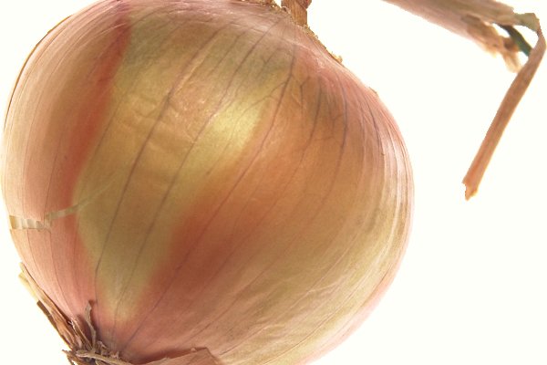 Кракен основная ссылка onion