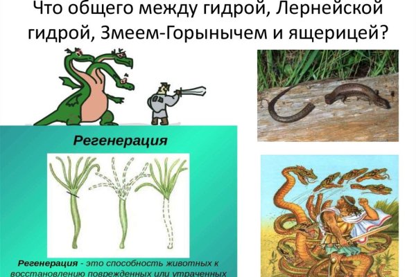 Как зайти на кракен дарк