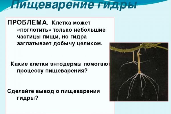 Ошибка на сервере кракен