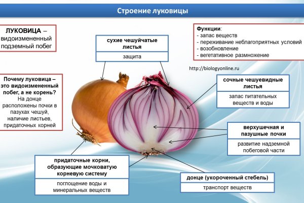 Не работает сайт kraken